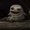 Cora