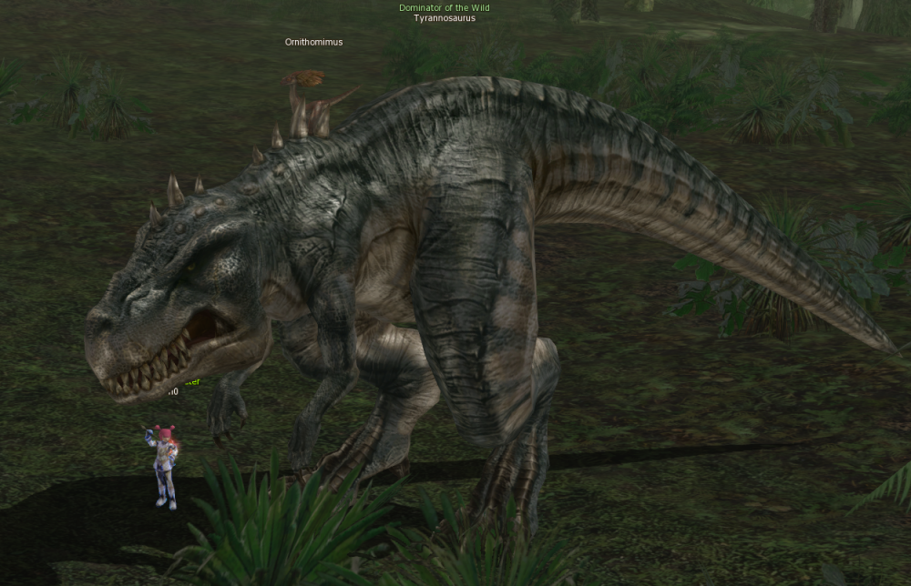 rex.png